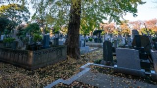 先祖供養でお墓が分からない！調べ方と探し方