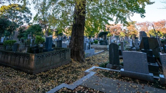 先祖供養でお墓が分からない！調べ方と探し方