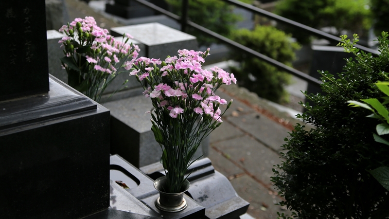 故人のお墓探しで、専門家に依頼すべき状況とは？